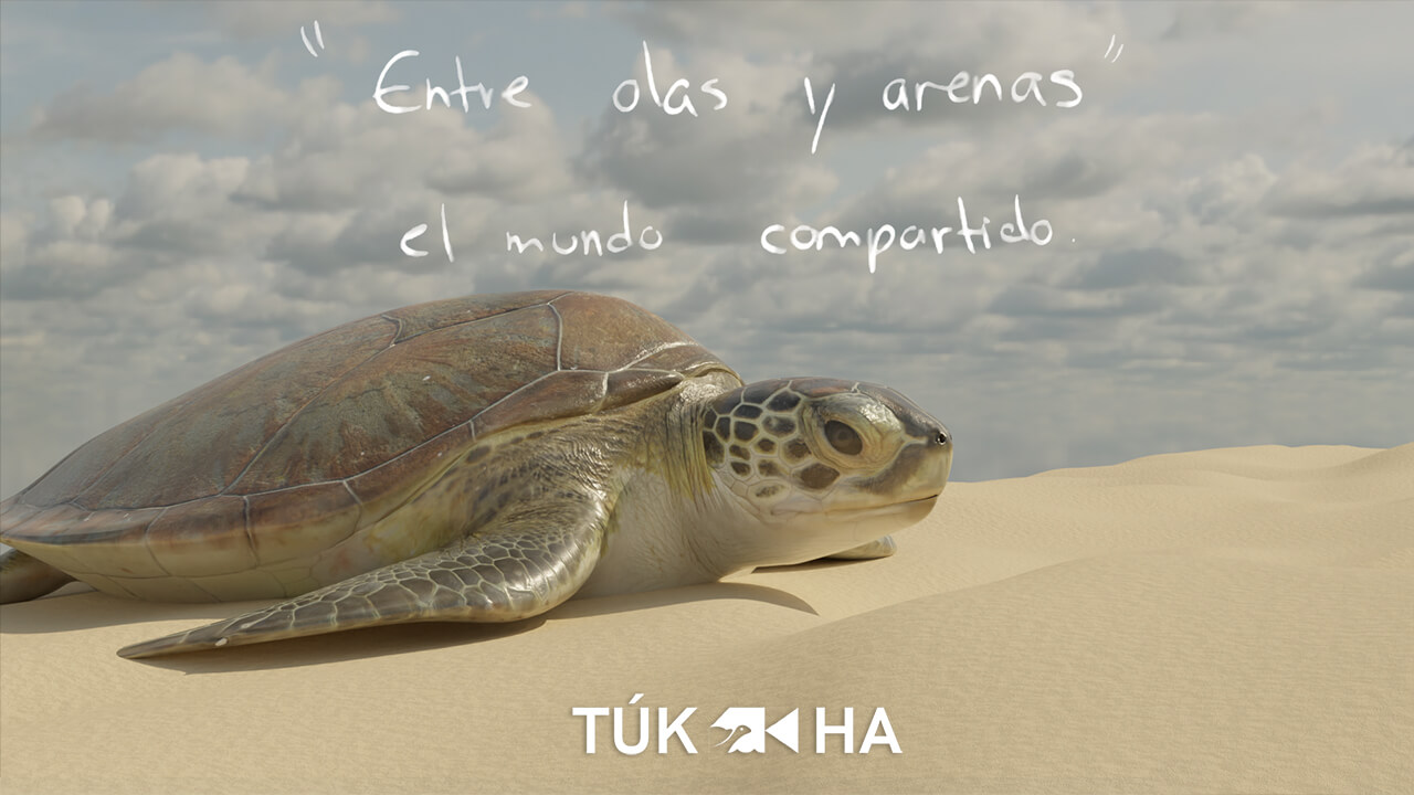 Túk-Ha: Entre Olas y Arenas - El Mundo Compartido